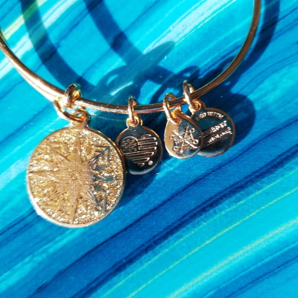 Alex and Ani, Healing Love, Sparkling, Charm Bracelet - Picture 4 of 7